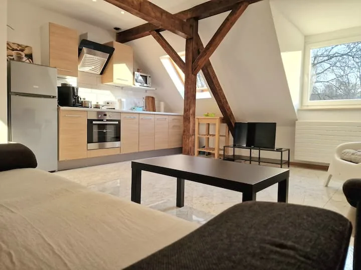 Ferienwohnung Essen Hauptbahnhof - Helbings Apartments Loft-Studio (3. OG (Dachgeschoss))